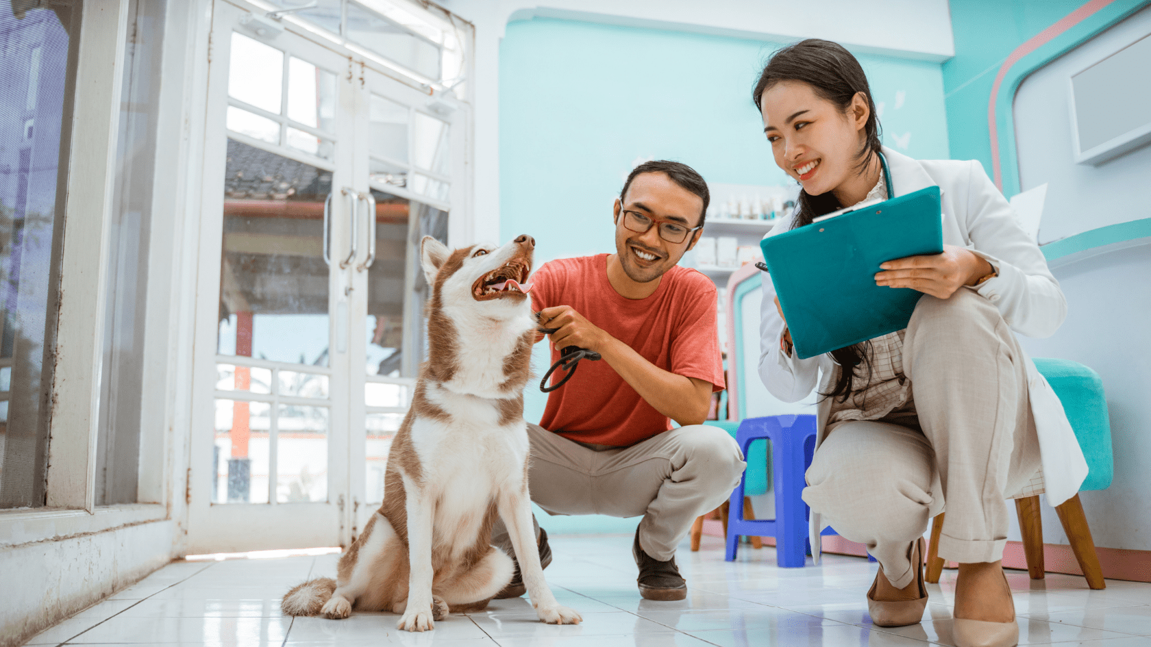UseINBOX Veterinary Email Preview